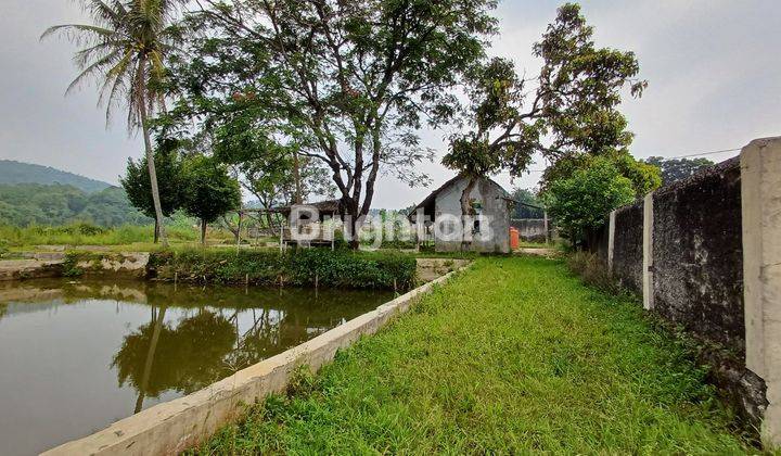 Tanah dan Kolam Ikan Tenjolaya 1