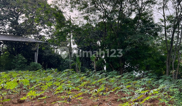 For Rent 1 Ha Land Kalideres Jl Peta For Rent 1 Ha Land Kalideres Jl Peta