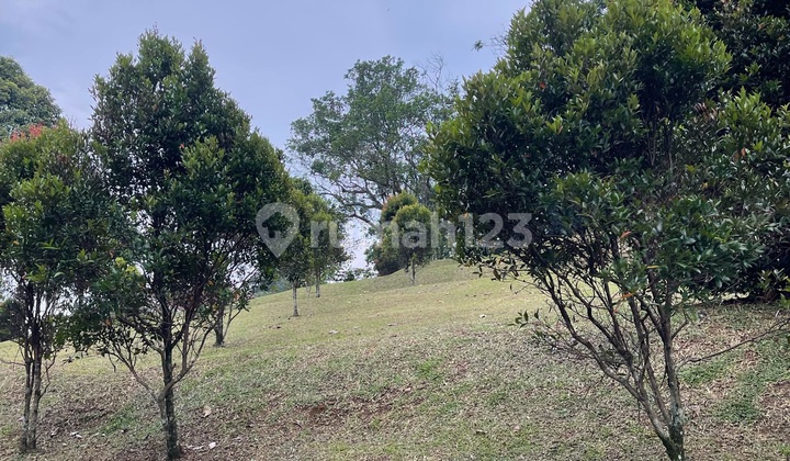 Tanah Dkt Summarecon Bogor Rp 1jt/mtr~akses Bagus~ Nyaman~asri