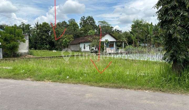 Tanah Sawah Jalan Berbah-Kalasan 900Rb-an Mangku Aspal
