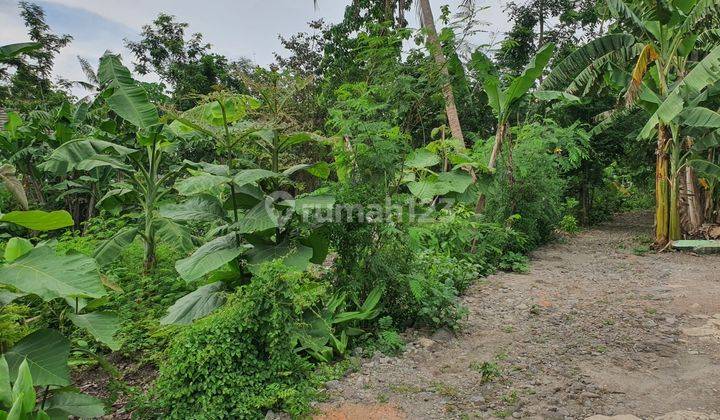 Tanah di Jalan Wates Km 9 Dekat Rumah Sakit Sedayu 1Jt an 2