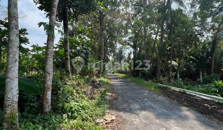 Tanah Murah 1Jtan di Jalan Magelang Dekat Rsud Sleman Tanah Murah 1Jtan di Jalan Magelang Dekat Rsud Sleman