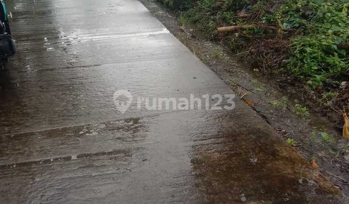 Cheap Rice Field Land in Kalitirto Berbah Near Adisucipto Airport Cheap Rice Field Land in Kalitirto Berbah Near Adisucipto Airport