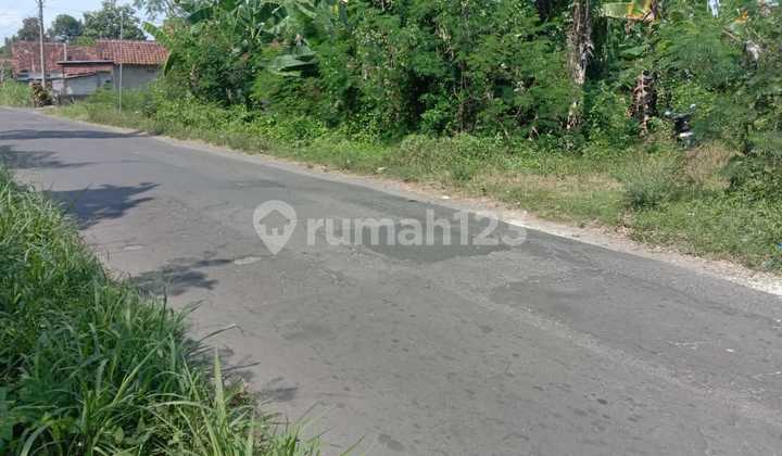 Tanah Shm Mangku Jl Kabupaten di Taskombang  Cocok Bangun Gudang