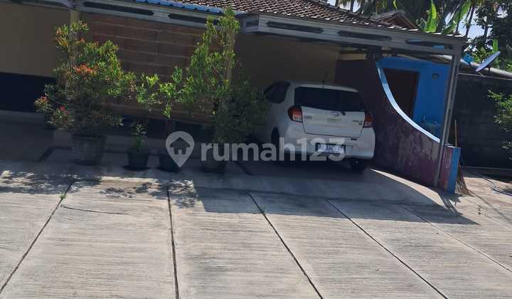 Rumah Luas di Tawangsari Kulonprogo Dekat Rsud Wates