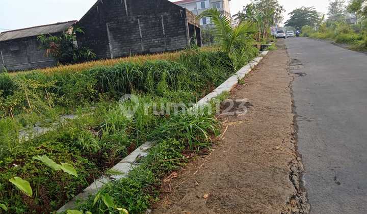 Tanah Shm Sawah di Jalan Kaliurang Jalur Kuning 1,5Jt Dekat Uii