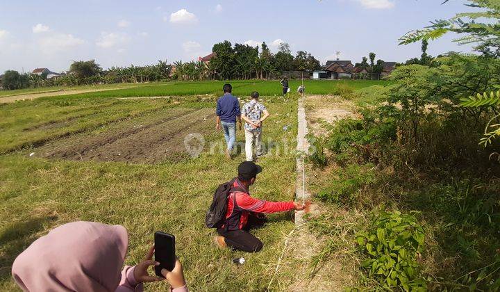 Tanah Pekarangan 3 Menit Ambarrukmo Plaza Kota Jogja View Sawah 1