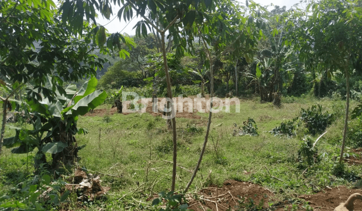 MURAH!! TANAH KEBUN SIAP BANGUN VIEW INDAH COCOK UNTUK RUMAH MAKAN ATAU PERISTIRAHATAN 2