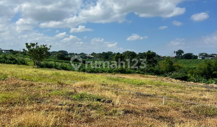 Tanah Kavling Langka Residential dan Komersial di Canggu