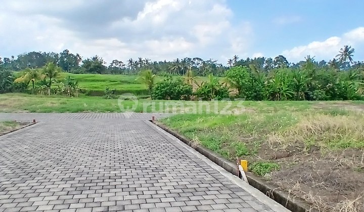 Tanah Kavling Strategis di Yeh Gangga – Siap Bangun & SHM! 2