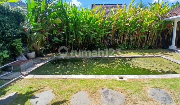 High Earning Pot 3Br Villa In Padang Linjong Canggu Ready To Manage High Earning Pot 3Br Villa In Padang Linjong Canggu Ready To Manage