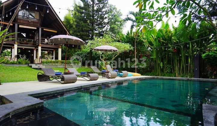 Villa In Prime Area Of Batu Bolong Canggu Bali 5175 Villa In Prime Area Of Batu Bolong Canggu Bali 5175