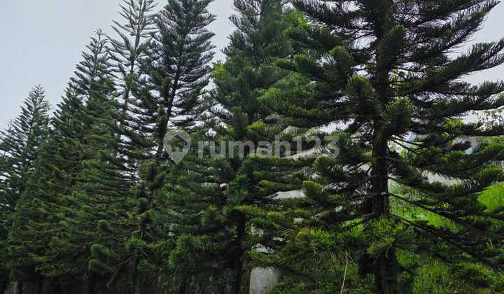 Pondok Hijau Exclusive Cluster Bandung 5110 Land Plot Pondok Hijau Exclusive Cluster Bandung 5110 Land Plot