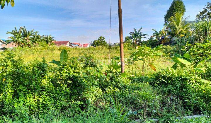 Tanah Sawah Pinggil Jalan Aspal Besar (Langsung Balik Nama) Tanah SHM 1848 m² 2