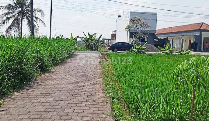 Land for Sale in Mengwi Badung, Bali 2