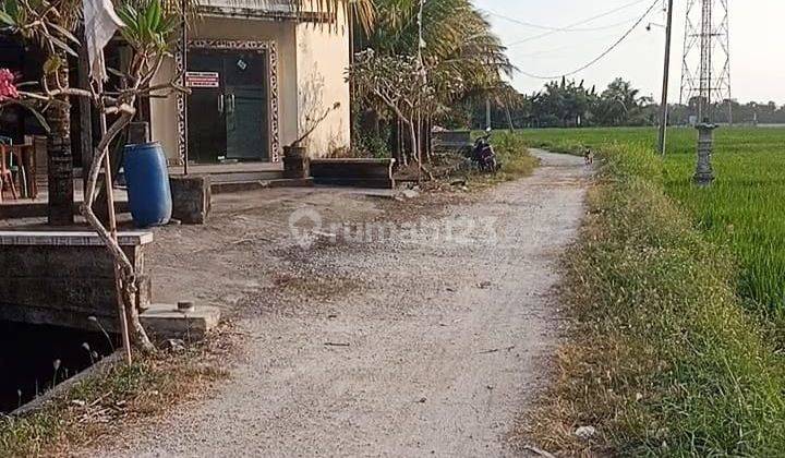 Land for Sale in Kelanting, Kerambitan Tabanan, Bali 2