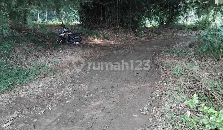 Dijual Lahan Luas 1,5 Hektar di Cisauk Dandang