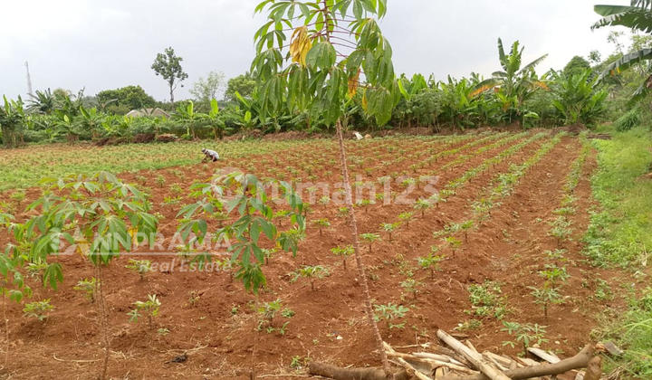 Dijual Kavling Siap Bangun Di Bedahan Sawangan Kota Depok 1