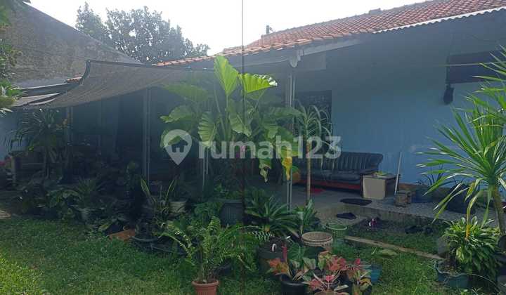 Dijual Hitung Tanah Rumah Tanah Luas di Beji Depok Dijual Hitung Tanah Rumah Tanah Luas di Beji Depok