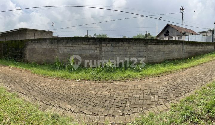 Tanah Perkebunan Melon Ada Greenhouse dan Sumber Air Sendiri