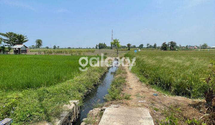 Tanah zona Industri 0 jln raya Probolinggo 1