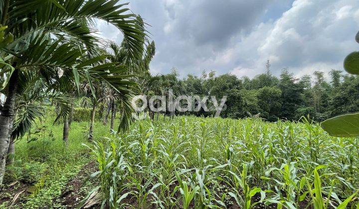 Tanah 0 jln raya Purwosari Zona Industri 1