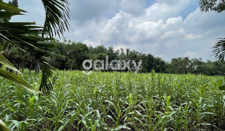 Tanah 0 jln raya Purwosari Zona Industri 2