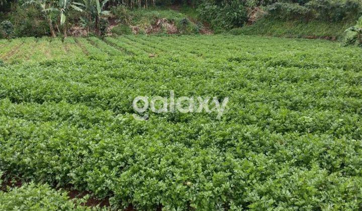 Tanah Murah cocok buat usaha dekat ayam goreng Sri 1