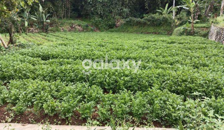 Tanah Murah cocok buat usaha dekat ayam goreng Sri 2