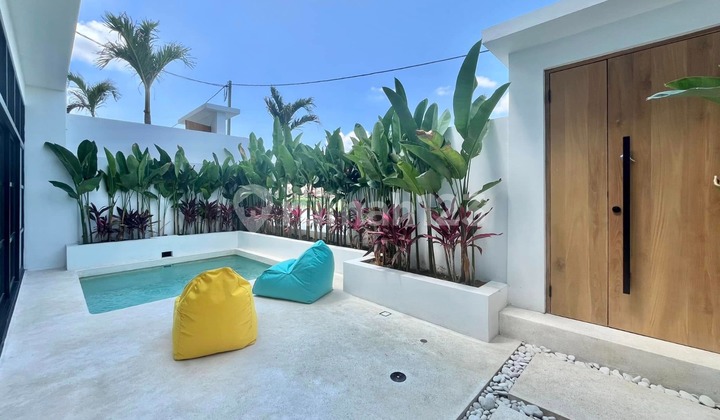 Modern Tropical Charm Villa with Rice Field Views in Pererenan, Bali Modern Tropical Charm Villa with Rice Field Views in Pererenan, Bali