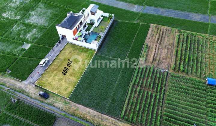 Land with Sea View, Rice Fields, Mountains, Suitable for Villa in Tabanan Bali Land with Sea View, Rice Fields, Mountains, Suitable for Villa in Tabanan Bali