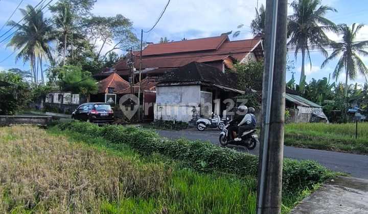 Strategic Land Suitable for Villas in Tirta Tawar, Ubud, Bali
