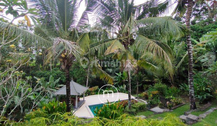 Freehold Big Land Villa, River And Rice Fields View At Ubud, Bali 2