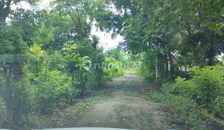 Tanah Kavling Lokasi Strategis Dekat Pantai di Pecatu, Bali 2