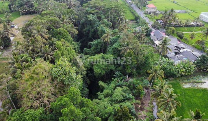 Tanah Di Jalan Raya Tampak Siring Dekat Ke Central Ubud, Bali 2