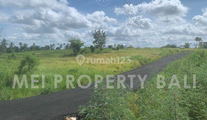 Strategic Land Ocean View Only 400 Metres To Seseh Beach, Bali 2