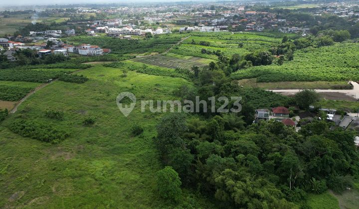 Kavling Tanah Lokasi Strategis di Kawasan Premium Canggu, Bali