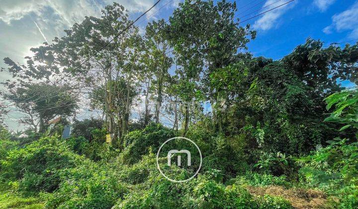 Freehold Land In Residential And Quiet Area Of Jimbaran, Bali 2