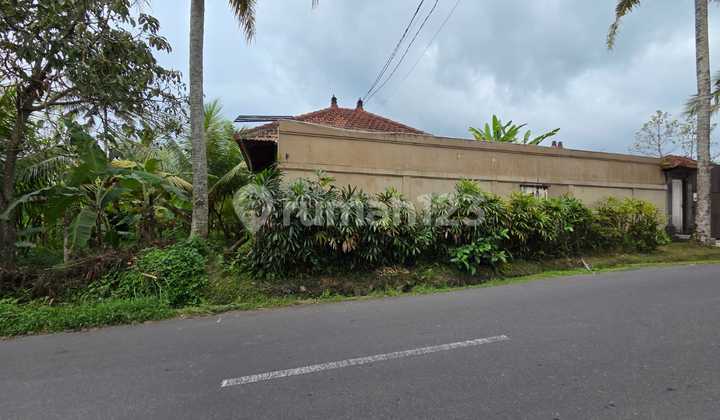 Freehold Land Rare in Tirta Tawar, Near Ubud Center, Bali Freehold Land Rare in Tirta Tawar, Near Ubud Center, Bali