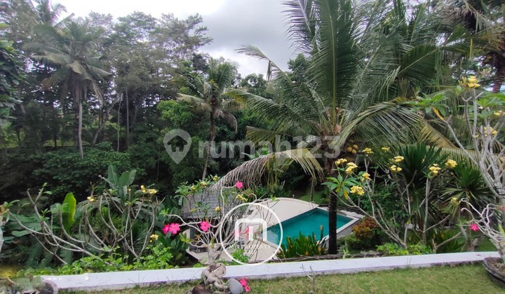 Vila Luas 5 BR Pemandangan Sawah dan Hutan Indah di Ubud, Bali