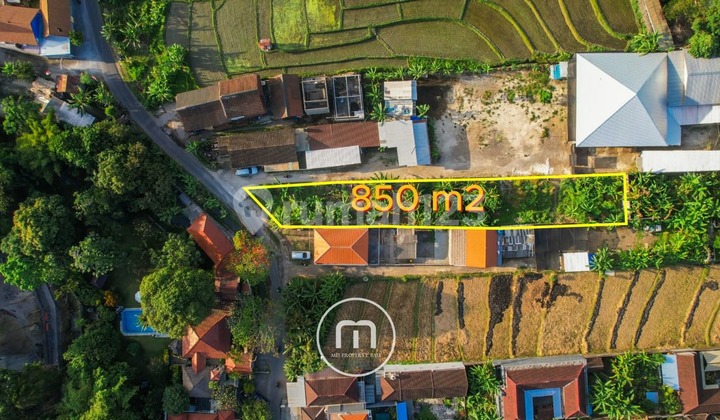 Freehold Land in a Villa Complex at Umalas - Kerobokan, Bali