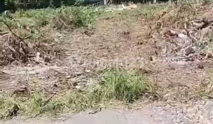 Tanah Langka Cocok untuk Komersial di Uluwatu Pecatu, Bali