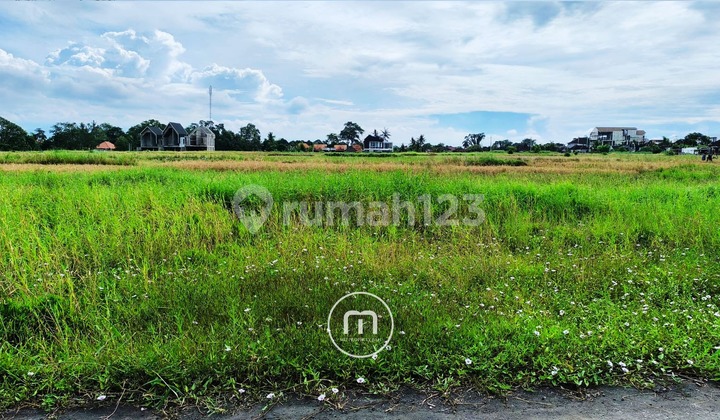 Tanah Lokasi Tenang View Sawah Cocok untuk Villa di Kedungu, Bali