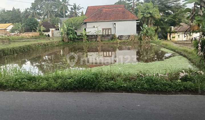 Tanah Strategis di Jalan Utama Tirta Tawar – Ubud, Bali