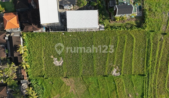 Tanah Hak Milik Nyanyi Dekat The Luna Beach, Bali Tanah Hak Milik Nyanyi Dekat The Luna Beach, Bali