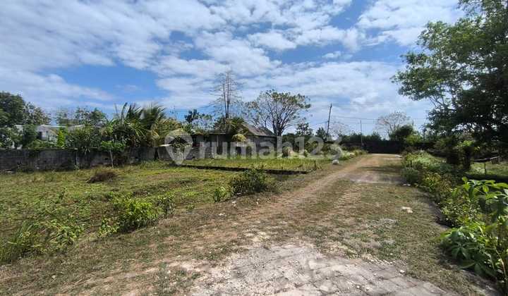 Tanah Kavling Premium Hanya 800 meter ke Pantai Balangan, Bali