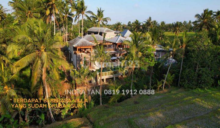 SHM Land in Villa Area with Rice Field and River View in Ubud, Bali 1