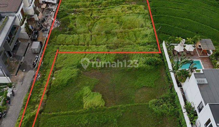 Freehold Land with Rice Field and Sunset View at Nyanyi Beach, Bali 2