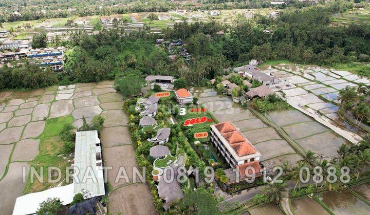 Tanah Kavling Kawasan Villa Dengan View Persawahan di Ubud, Bali 2