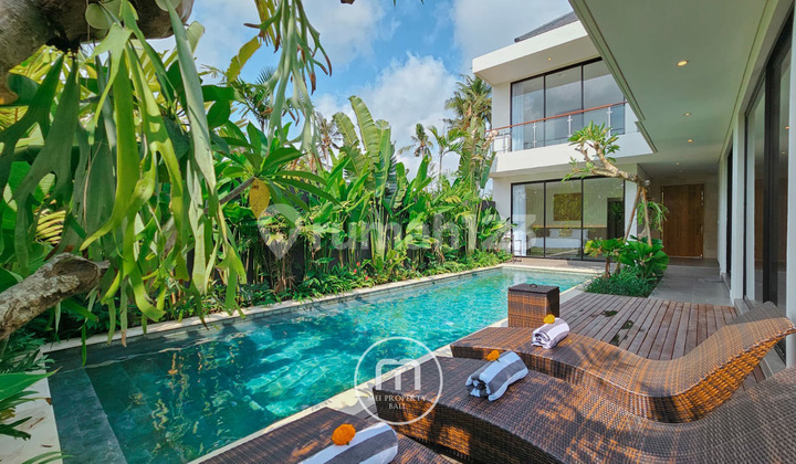 Modern Tropical Villa with Rice Field Views in Ubud